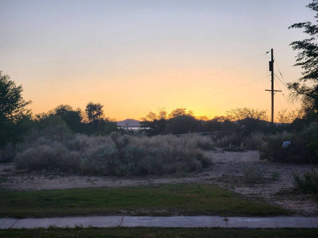 Sunset view over a field with sparse vegetation and a distant horizon, featuring a power pole and trees.