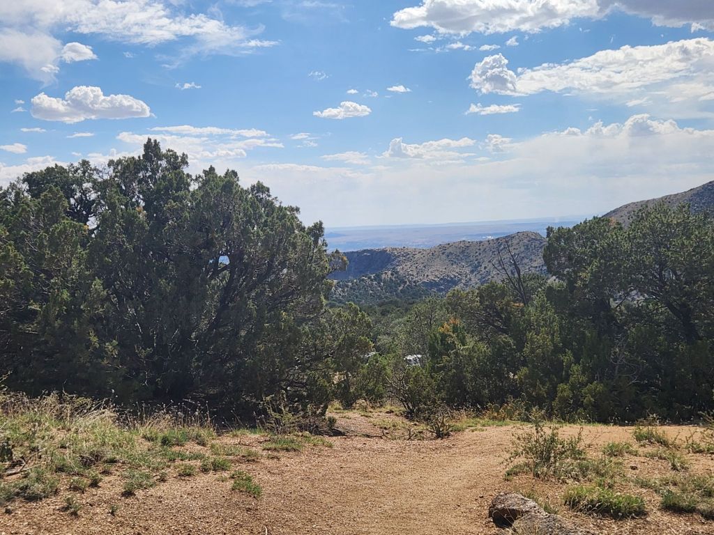 A scenic view of mountains and valleys under a partly cloudy sky, framed by green shrubs and grasses.
