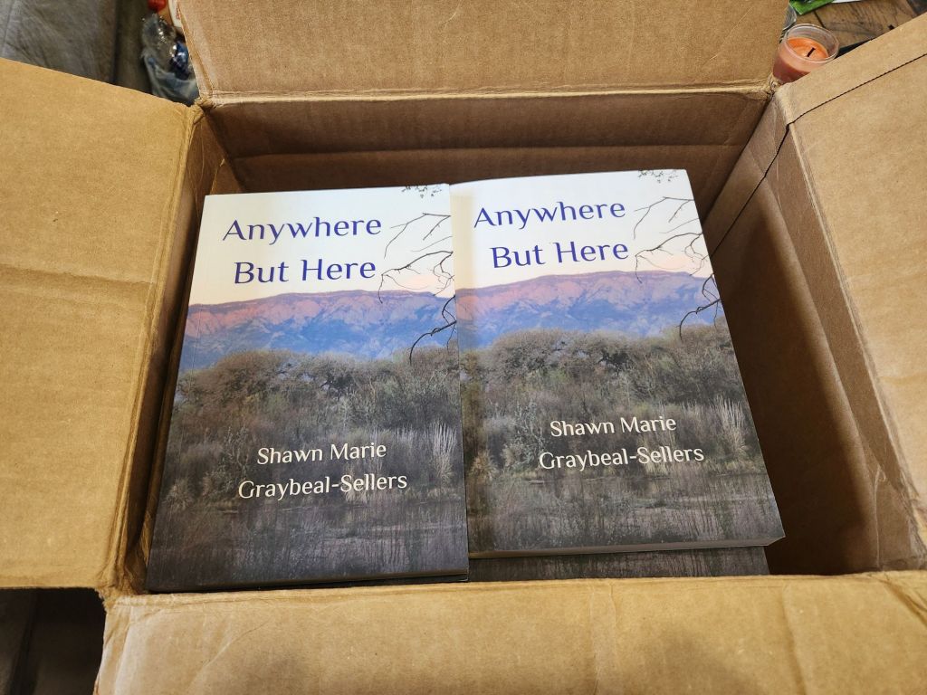 A cardboard box containing multiple copies of the book 'Anywhere But Here' by Shawn Marie Graybeal-Sellers, featuring a colorful landscape cover.