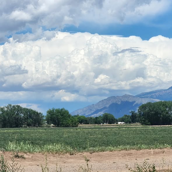 A scenic view of lush green fields with distant mountains under a partly cloudy blue sky.