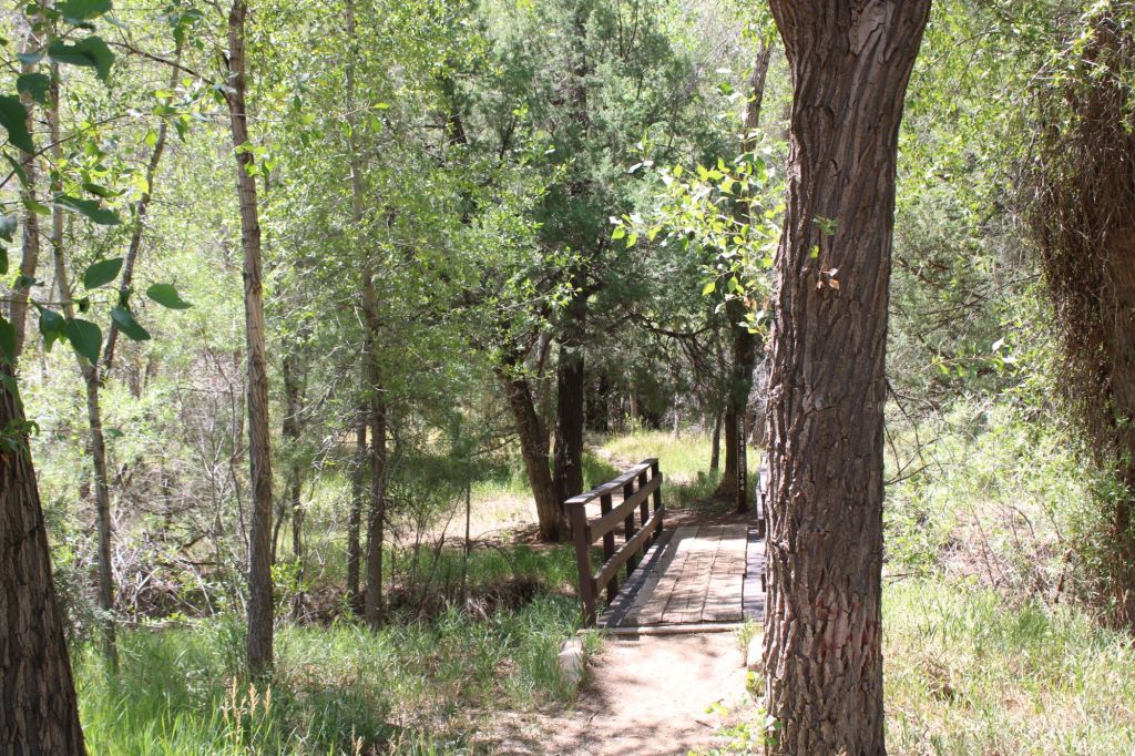 Wooden bridge leading through a lush green forest.