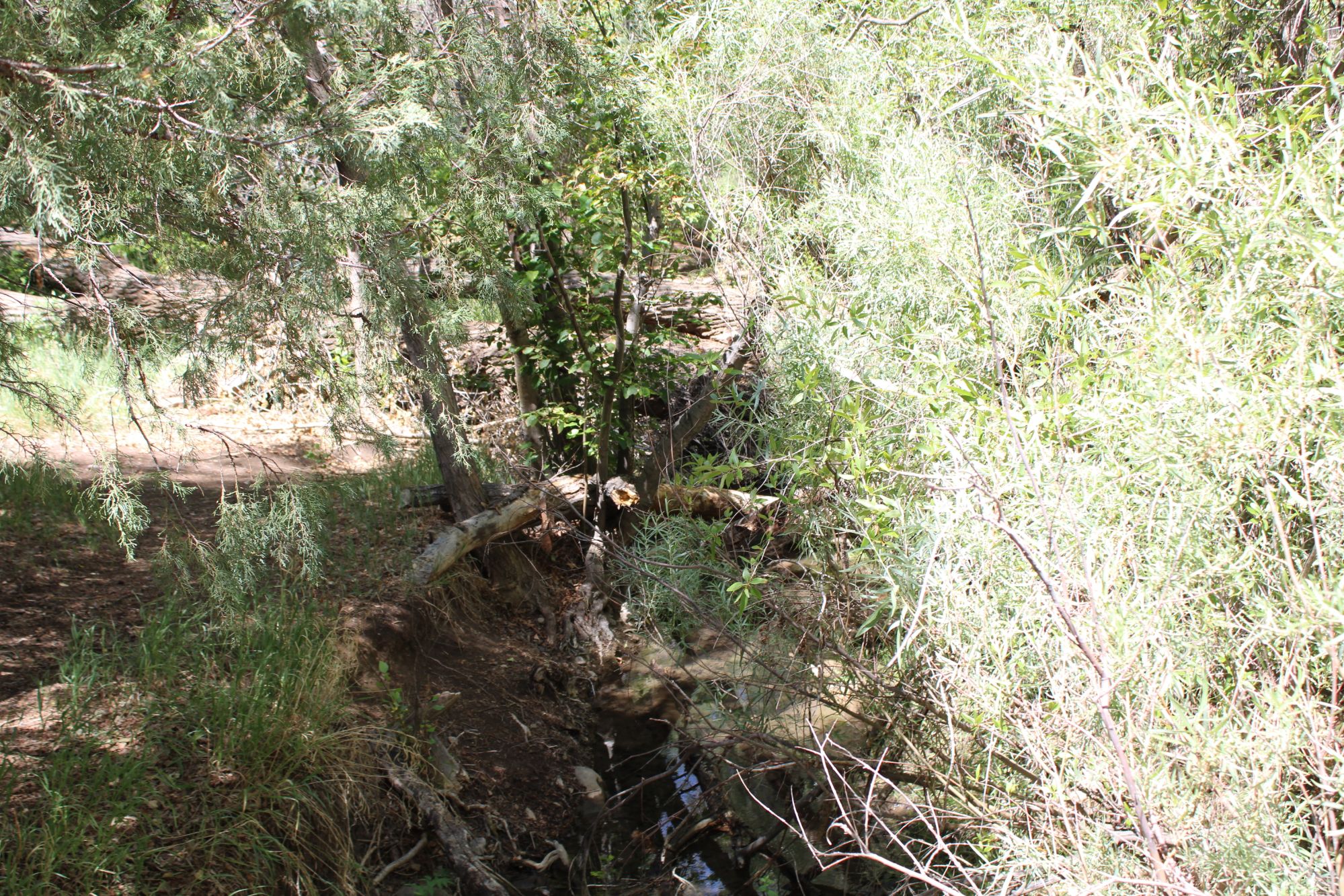 Landscape photograph