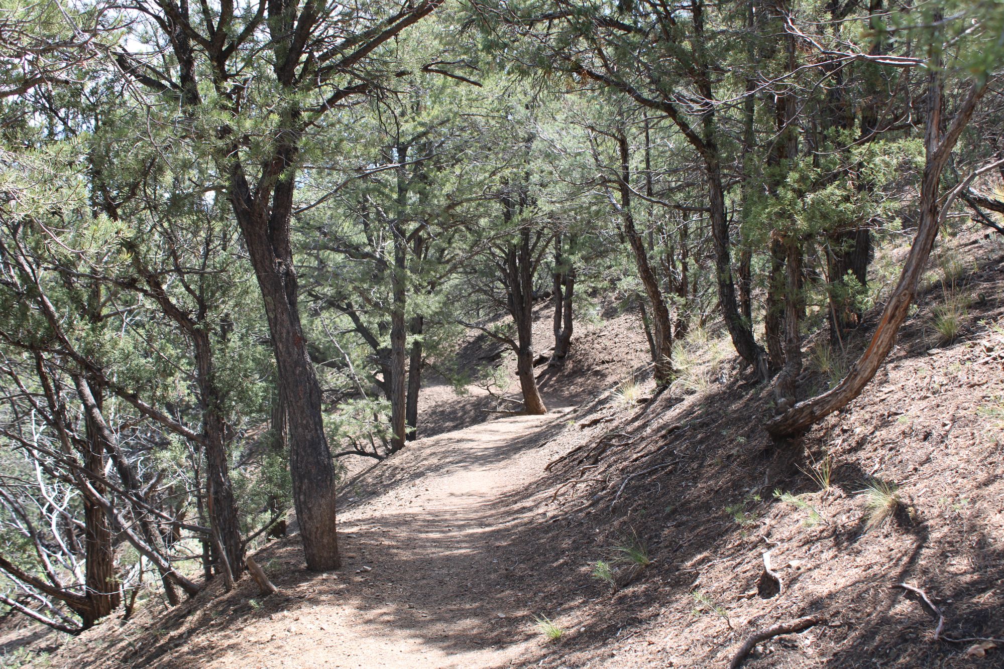 Landscape photograph