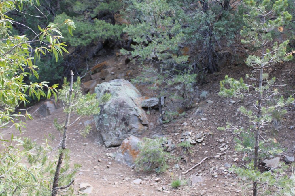 A rocky landscape with scattered boulders and sparse vegetation, surrounded by trees and earthy terrain.