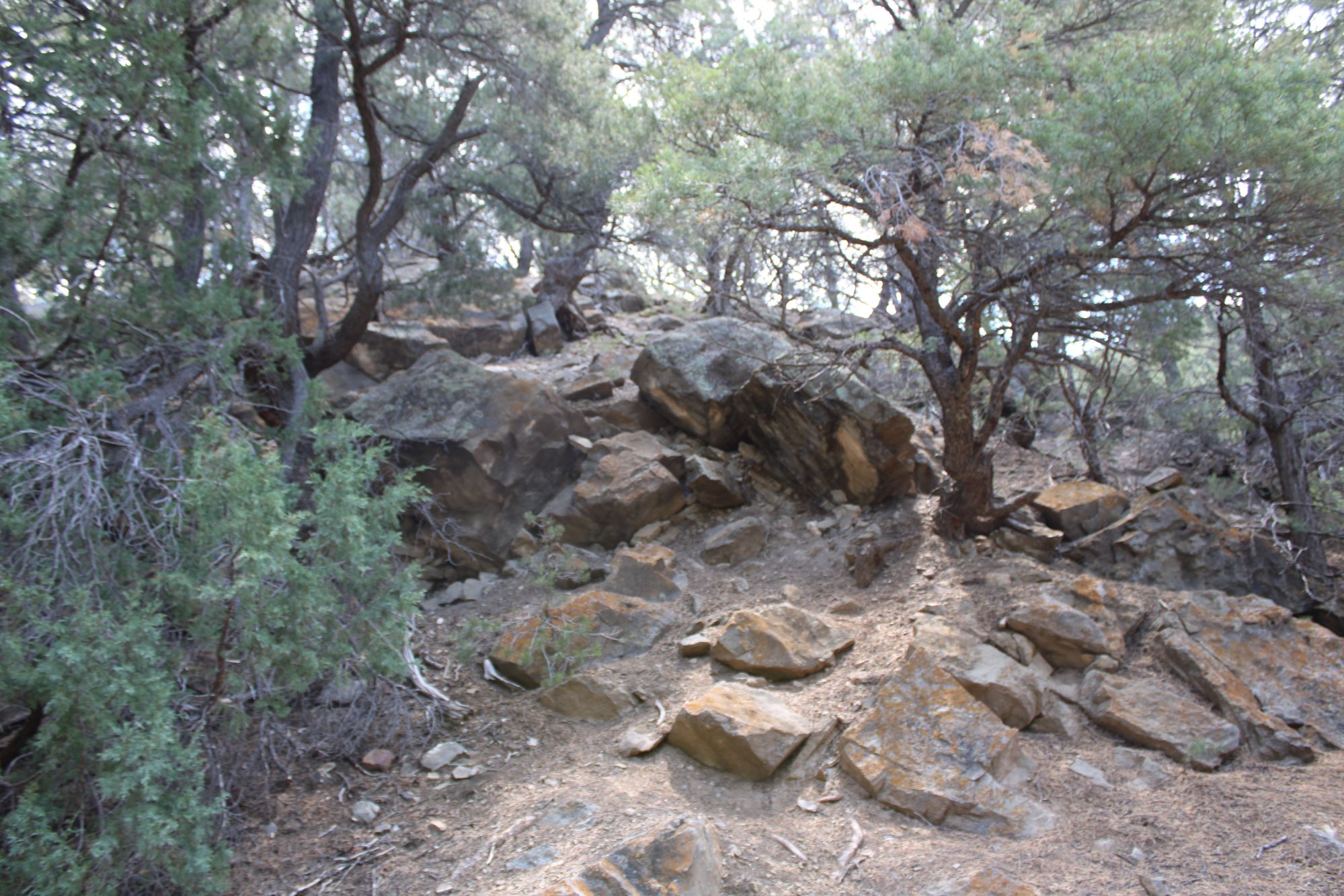 Landscape photograph
