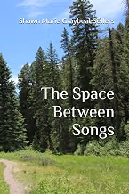 Cover of The Space Between Songs by Shawn Marie Graybeal-Sellers