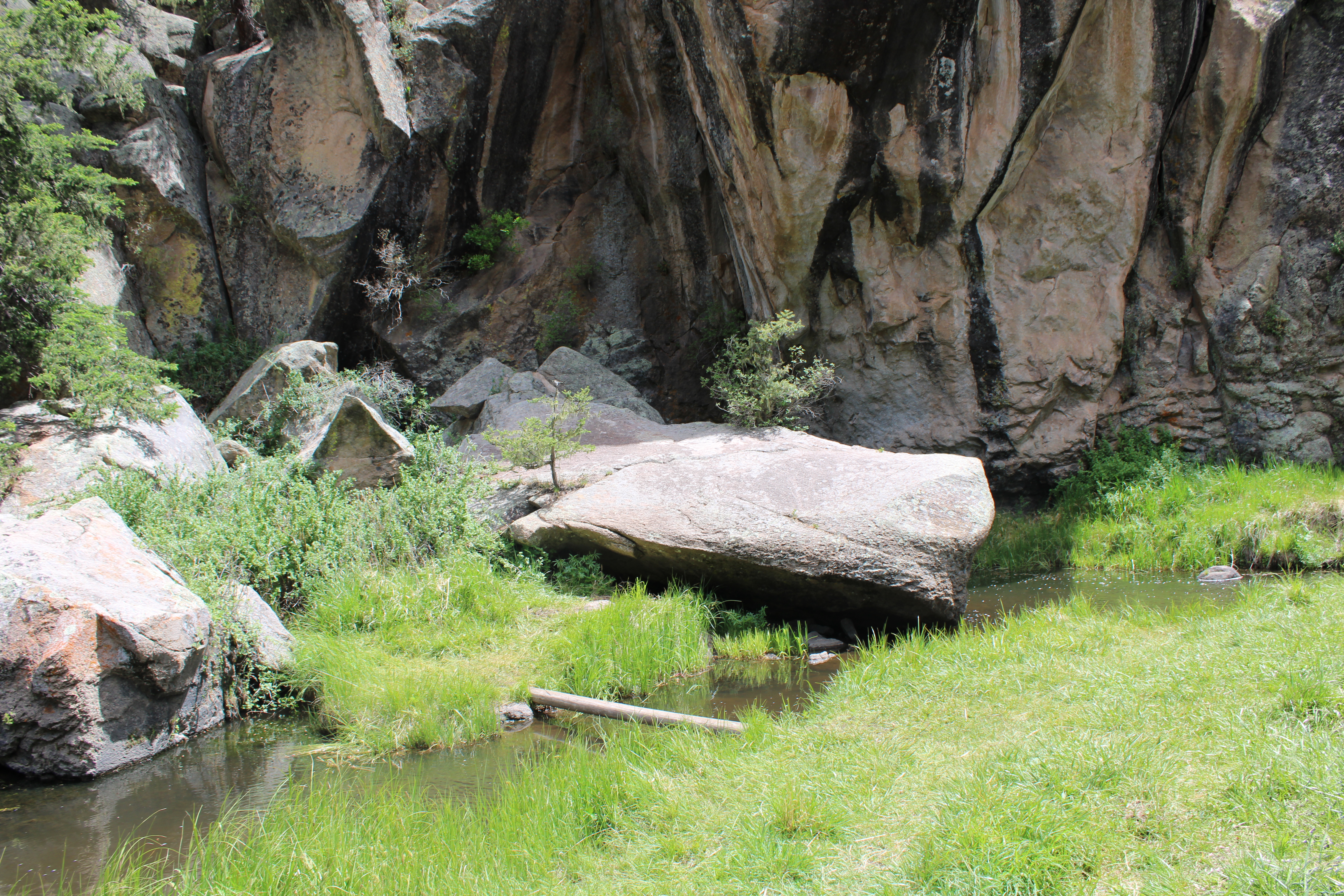 Canyon with stream and boulders by Shawn Marie Graybeal-Sellers